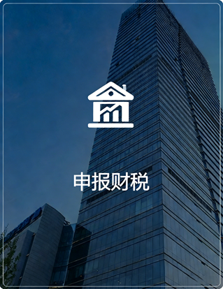 申报财税