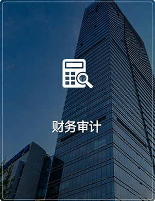 财务审计